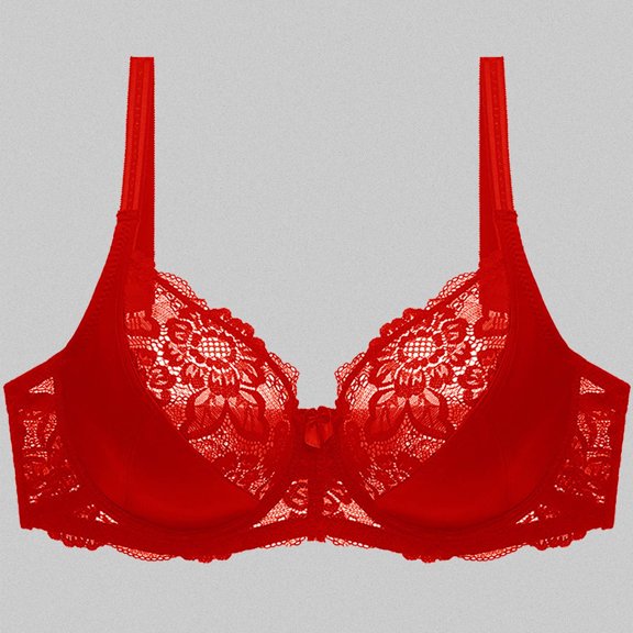 Women's Double Lace Plus Size Bra Push Up Corset Bustier, 38, Red