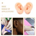 thumbnail image 2 of KAKOWELY Silicone Ear Models 2pcs Silicone Ear Models Earrings Display Fake Ear Samples (Assorted Color)2.36"X1.92"X1.57", 2 of 4