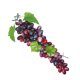 thumbnail image 5 of Uva artificial simulación fruta fotografía instantánea uva falsa boceto práctica utilería, color ágata sidaley HA8461-03B, 5 of 6