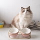 thumbnail image 4 of Comederos para perros y gatos bonitos Cuencos elevados de cerámica doble para gatos Cuencos para beber para mascotas Platos para agua y comida Prevenir la espondilosis cervical, 4 of 5
