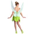 thumbnail image 2 of Adult's Fairytale Tink Costume, 2 of 2