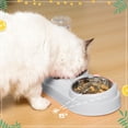 thumbnail image 5 of Abaima Stainless Steel Cat Food Bowl and Water Bowl Set, 3 in 1 Tilted Raised Cat Food Bowls for Indoor Cats, Whisker Friendly Cute Cat Bowl Double Feeder and Automatic Waterer, 5 of 7