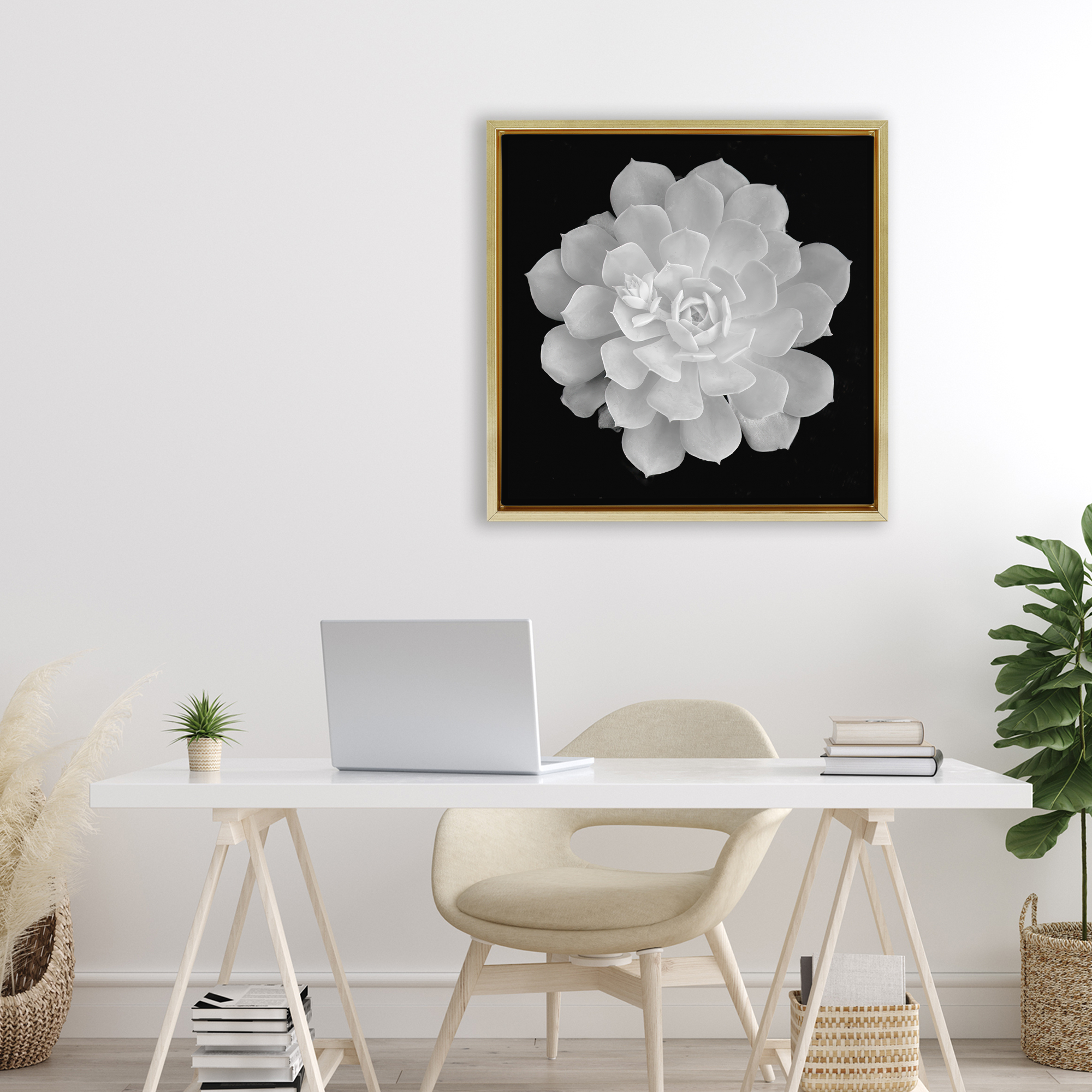 Pure White Succulent Contrast Gold Framed Floater Canvas Wall Art, design by Phillip Flowers