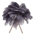 thumbnail image 1 of Artificial Ostrich Feather Table Lamp USB Rechargeable Desk Light With Tripod For Bedroom, 1 of 9