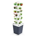 thumbnail image 4 of 6-Layer Hydroponic Tower | 30-Plant Indoor Garden | Soilless Vertical Growing Kit, 4 of 7