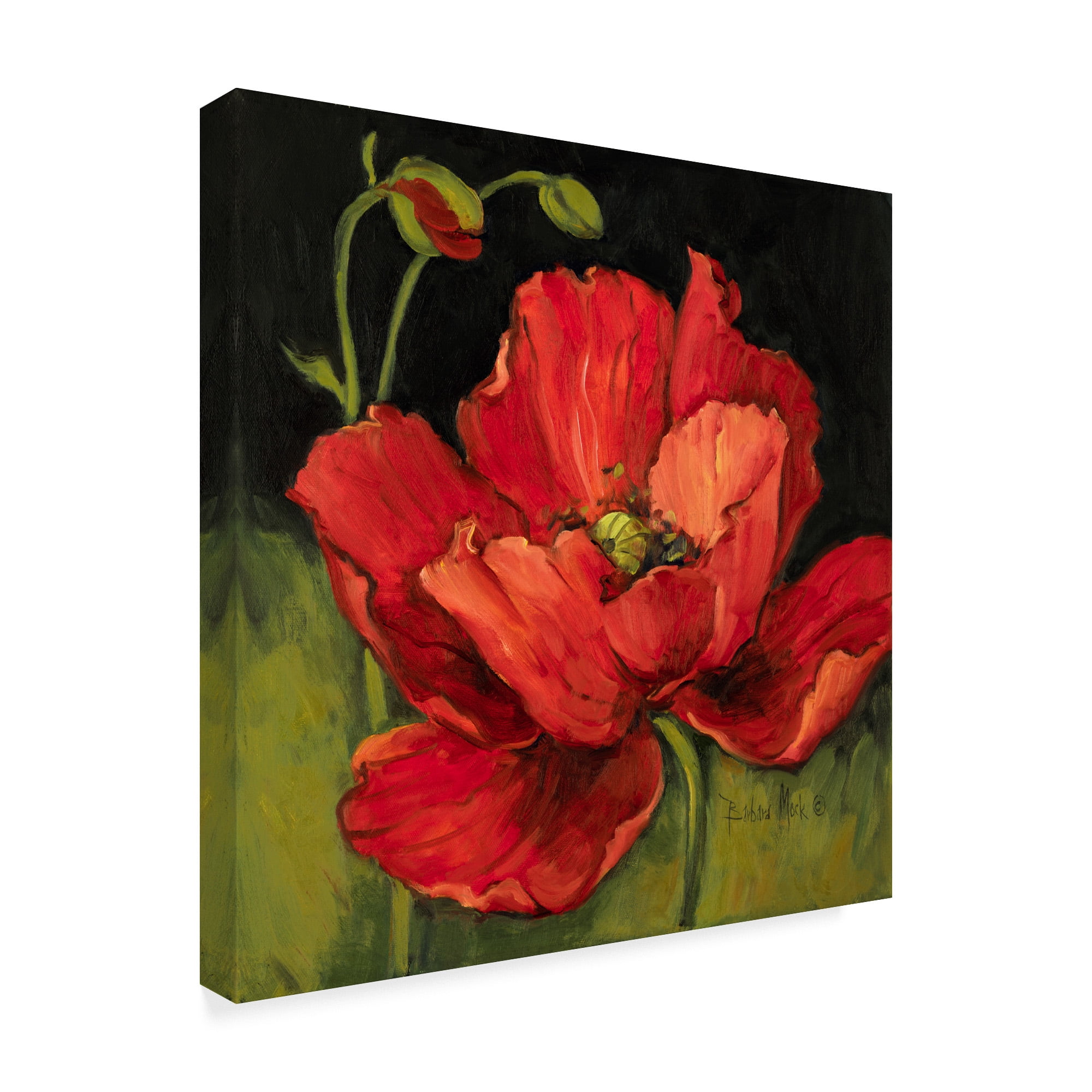 Trademark Fine Art Barbara Mock Poppy Blossom 18"x18” Canvas Art Prints