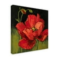 thumbnail image 2 of Trademark Fine Art Barbara Mock Poppy Blossom 18"x18” Canvas Art Prints, 2 of 3