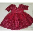 thumbnail image 3 of Bebé Niña Vestido Bordado Niños Vestidos 1er Cumpleaños Fiesta Bautizo Princesa Tul Flor Para Boda 1-5Y, 3 of 4