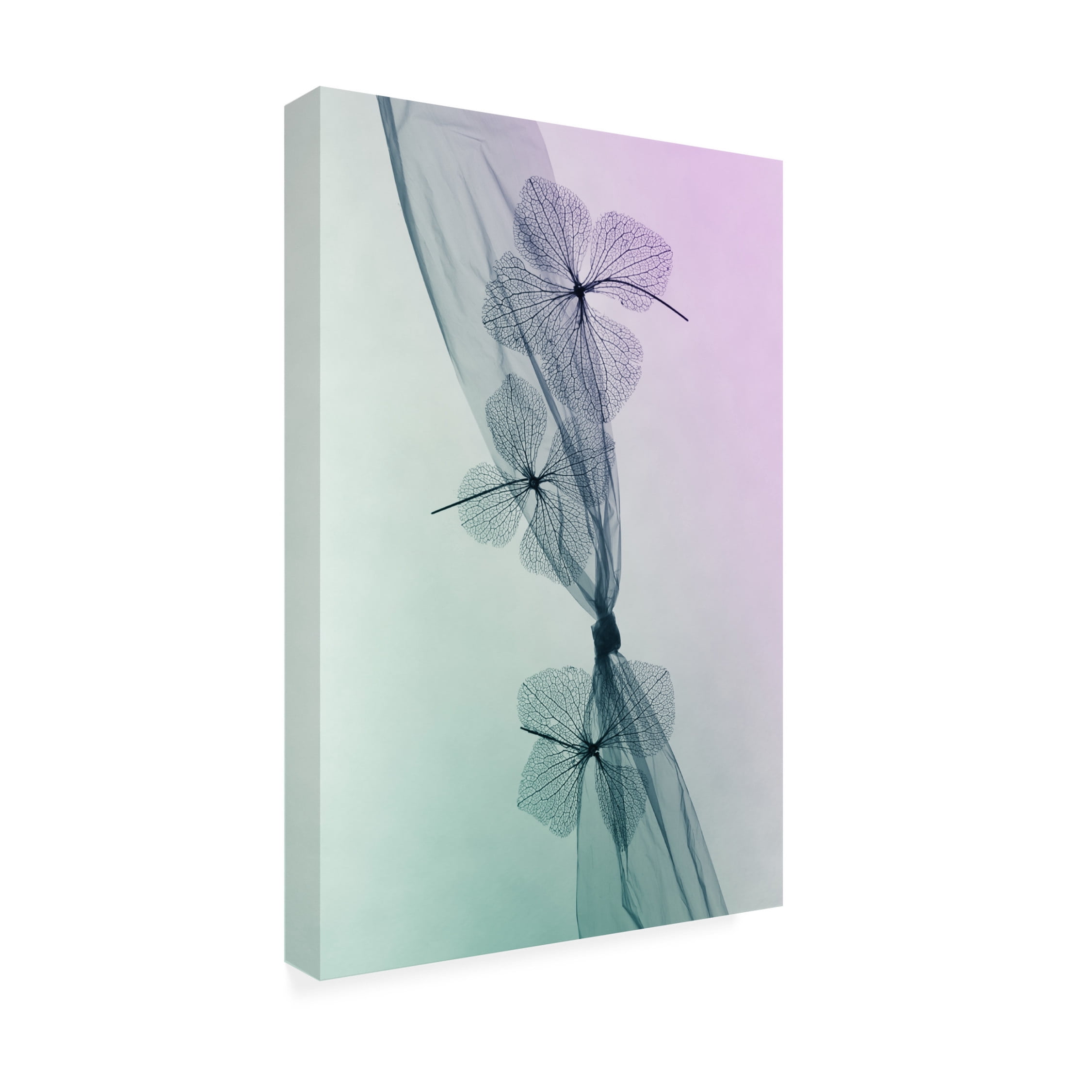 Trademark Fine Art Shihya Kowatari 3 Flowers Canvas Wall Art