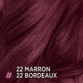 thumbnail image 3 of L'Oréal Paris Colorista Coloration Semi Permanente, 3 of 6
