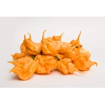 10 * SEEDS Peach CAROLINA REAPER PEPPER World's Hottest Capsicum Chili