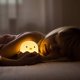 thumbnail image 4 of Night Light For Kids Baby Nursery Lamp With Touch Controls Cute Chick Bedside Nightlight For Nursing/breastfeeding Usb Rechargeable Newborn Or Toddler, 4 of 4