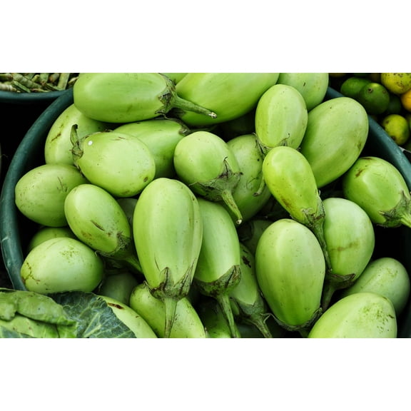 25 *Seeds APPLEGREEN EGGPLANT Green Fruit / Vegetable Solanum Melongena Seeds