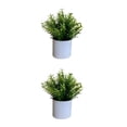 thumbnail image 2 of Wosthever 4 paquetes/lote fácil de limpiar planta falsa solución de bajo mantenimiento para plantas artificiales elegantes de interior Type3 NO3, 2 of 6