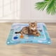thumbnail image 4 of Estera de agua inflable para palmaditas, anillo de natación de vida marina, cojín de escalada, almohadilla para palmaditas para mascotas, 4 of 5