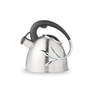 Vogelzang 3 qt. Tea Kettle for Use with Wood Stove TK-02 - The Home Depot