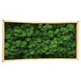 thumbnail image 4 of Mousse Décorative Préservée Durable Naturelle pour Décorations Maison Modélisme, 4 of 13