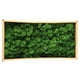 thumbnail image 2 of Musgo Decorativo Preservado Musgo Preservado Natural Duradero Para Decoración Del Hogar Fabricación De Modelos ANGGREK Otros, 2 of 8
