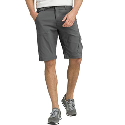 Prana Men's Stretch Zion 10IN Short 