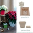 thumbnail image 2 of The HC Companies 12 Inch Eclipse Square Planter with Saucer - Indoor Outdoor Plant Pot for Flowers, Vegetables, and Herbs, Cottage Stone, 2 of 6