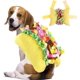 thumbnail image 1 of Disfraz de perro para Halloween, disfraz de taco para mascotas, ropa divertida para comida de taco, disfraz de hamburguesa para cachorro, disfraz de Halloween y Navidad para perros pequeños, medianos, 1 of 3
