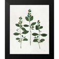 thumbnail image 2 of Purinton, Julia 20x24 Black Modern Framed Museum Art Print Titled - Botanical Study IV Greenery, 2 of 5