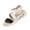 Beige, variant on HTHLVMD Crisscross Strap Platform Sandals, Sporty Open Toe Shoes, Comfortable Walking Sandals for Women Platform Sandals Beach Hiking Summer Shoes With Arch Support Backstrap Elastic, Beige 6