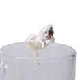 thumbnail image 1 of Realistic Mini Pug Dog Figurine Hanging on Cup Rim DIY Fairy Garden Accessory, 1 of 11