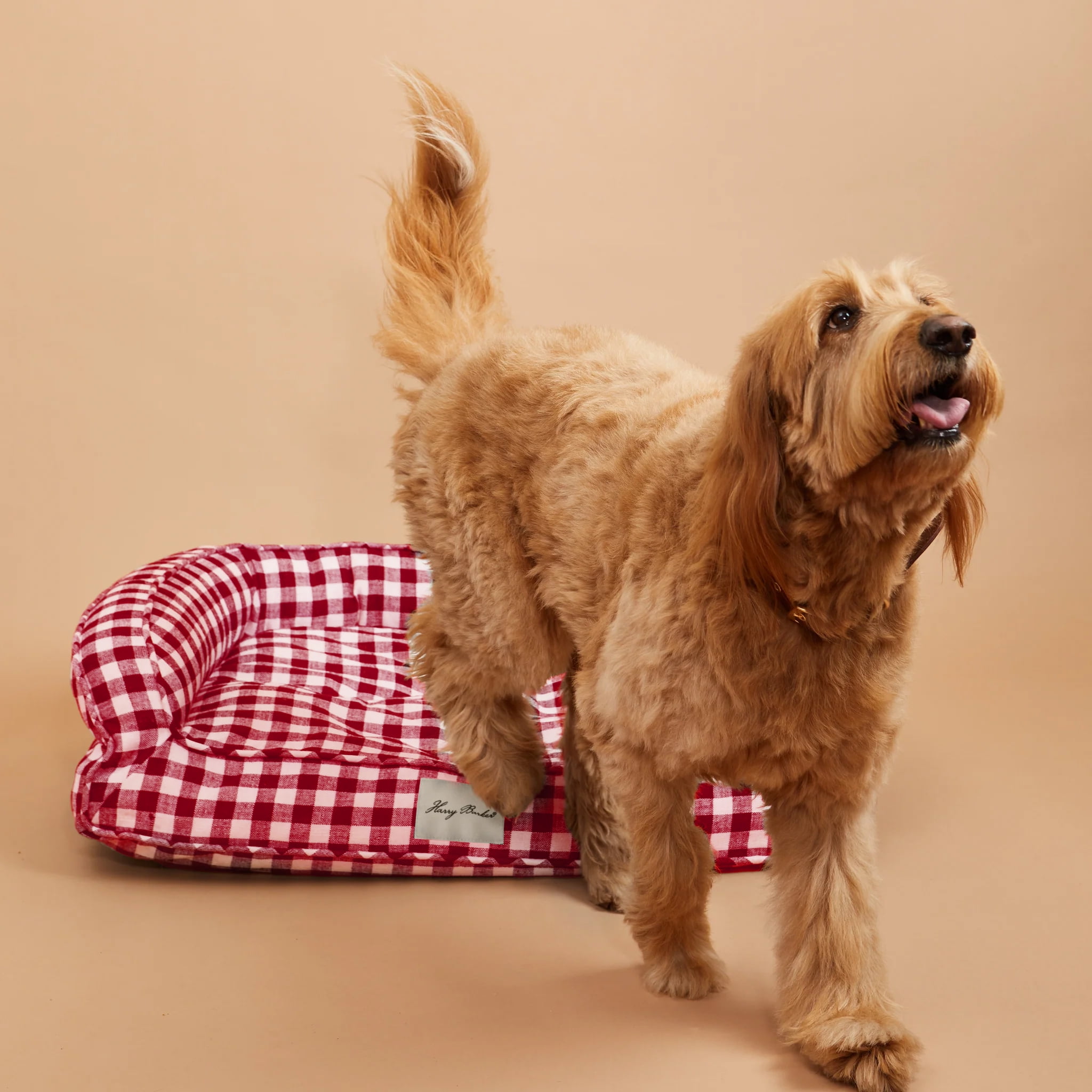 Harry Barker Red Buffalo Check Lounger, Medium - Walmart.com