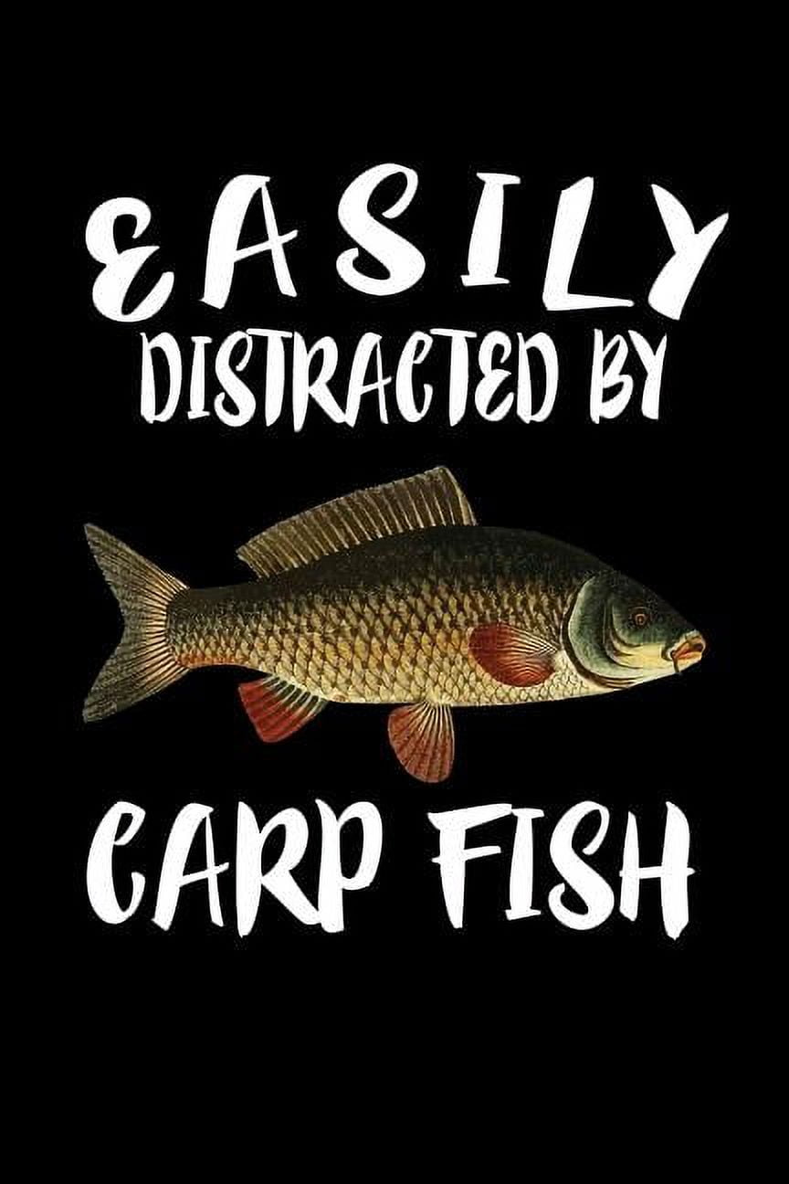 洋書　Freshwater Aquarium Fishes 淡水魚　大型本 hqdefault.jpg