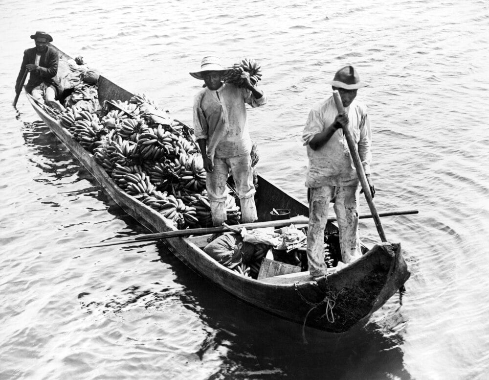 Panama Banana Boat. /Nthree Men In A Boat Transporting Bananas To The City Markets In Panama