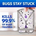 thumbnail image 2 of Flying Insect Trap Refills - 6ct, 2 of 12