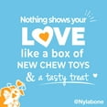 thumbnail image 6 of Nylabone The Box - Chew Toys & Treat Puppy Gift Box Variety Small (4 Count), 6 of 11