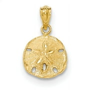 14k Yellow Gold Polished and Textured Sanddollar Pendant Necklace 17x11mm Wide - Pendant for Women