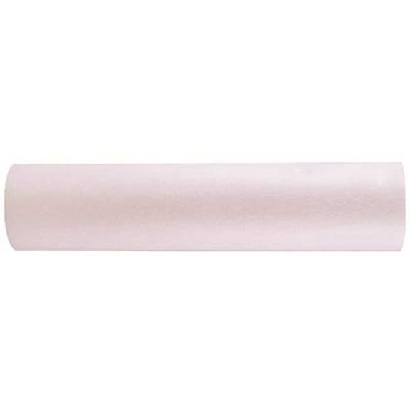 Watts 7100331 Sediment Filter 5 Micron Water Filter Cartridge
