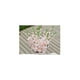 thumbnail image 4 of Paquete de 4- de Decoración para El Hogar de Boda con de Flor de de Simulación Artificial 4 piezas Sunnimix Flor artificial, 4 of 8