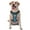 With Accessories, variant on Vsdgher Sailboat With Sailing Pattern Dog Harness,No Pull Pet Harness with Soft Padded Handle,Adjustable Reflective Vest with 2 Buckles,4 Slide Buckles,S-XL