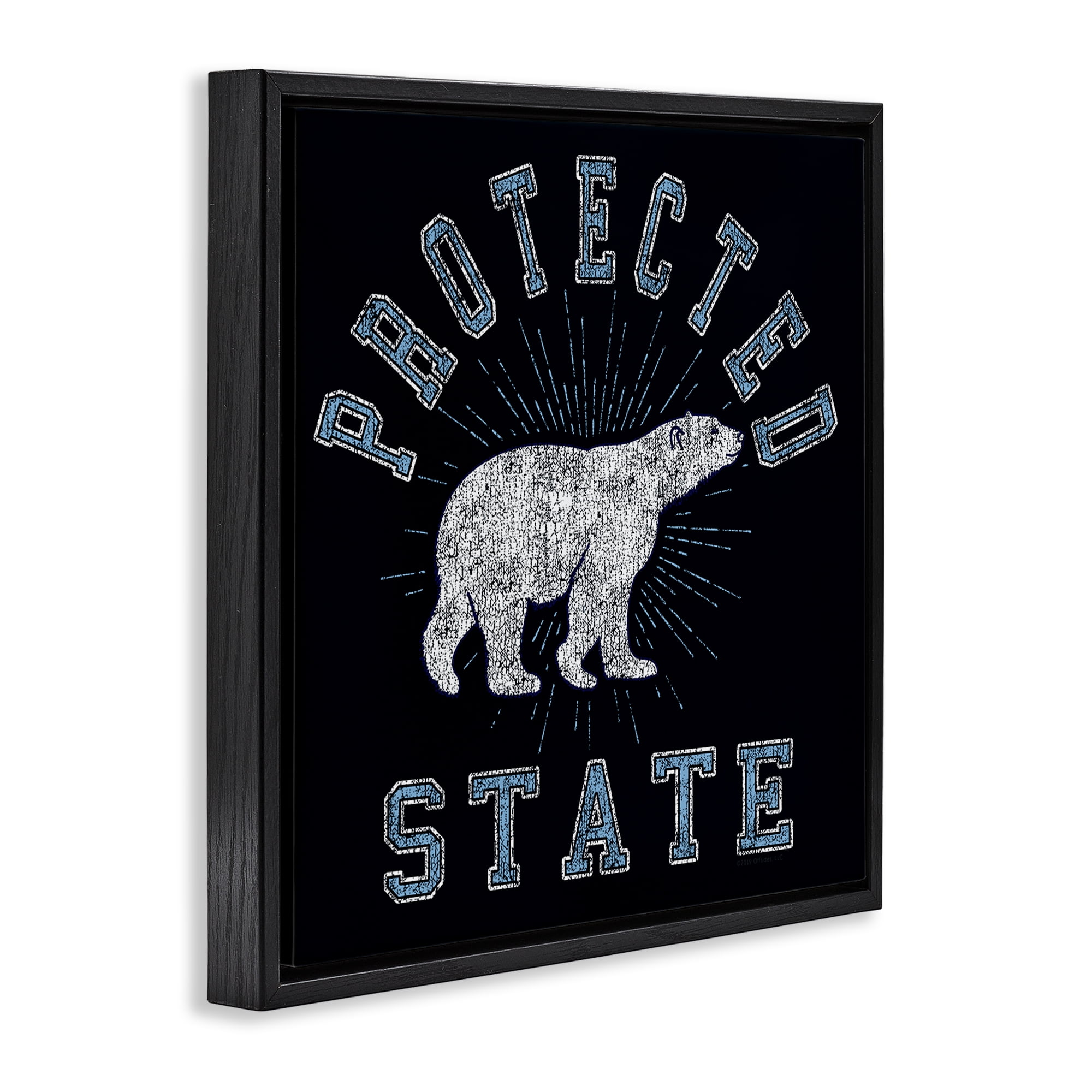 Stupell Industries Polar Bear Protected State Animals Painting Black Floater Framed Canvas Art Print Wall Art, 18 x 18