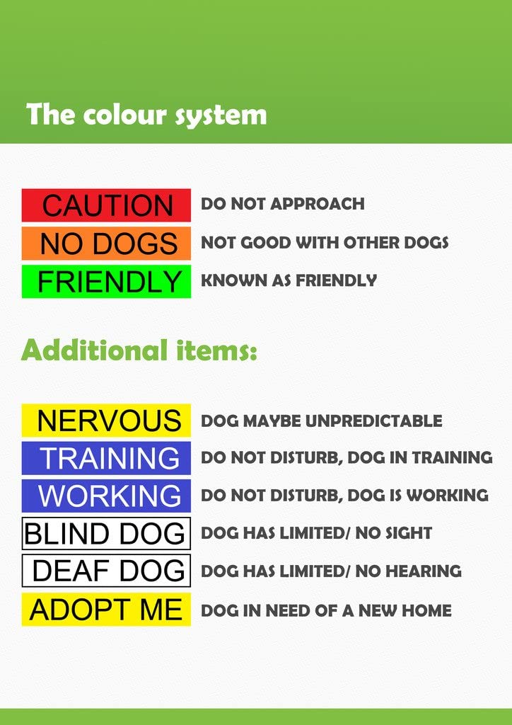 color coded dog leashes