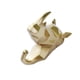 thumbnail image 1 of Toystoory Gancho para llaves con cabeza de Animal, resistente y duradero, de resina, para una fácil organización, buenos ganchos decorativos Decoración del hogar Oro (rinoceronte), 1 of 6