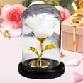 thumbnail image 5 of Weloille Preserved Enchanted Rose Silk Rose in Glass Dome with LED Lights Pine Base, Romantic Home Decor Gifts for Mom Women Valentines Day Mothers Day Wedding Anniversary Birthday, 5 of 6