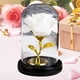thumbnail image 5 of Oro Rosa Ornamentos de Navidad Vidrio Chapado en Oro Rosa Joyería, Flor Eterna, Regalo de Vacaciones Creativo, Luminoso Llevó Luz Nocturna Regalos de Vacaciones para Mujeres, 5 of 6