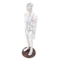 thumbnail image 1 of Acupuncture Model, 52cm Full Human Body Acupuncture Model with Accurate Acupoint Positioning, Pressure Point and Meridians Model for Student Teaching Demonstration, Acupuncture, 1 of 7