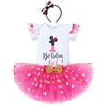 Toddler Girls 1st 2nd 3rd Birthday Outfit Princess Polka Dots Ruffle Tutu Skirt Mouse Headband Cake Smash Party Clothes Set 1 Year Hot Pink