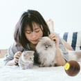 thumbnail image 4 of OUNONA 1Set Scratching Toy Corrugated Paper Cat Toy Light Brown For Cats, 4 of 6