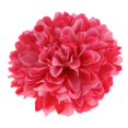 thumbnail image 3 of 10 piezas crisantemo seda artificial plantas decoración Gloria Cabeza artificial del crisantemo, 3 of 9