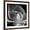 Brown Frame, variant on Art.com Midnight Queen Magnolia Stretched Canvas Print Wall Art by Albert Koetsier, 30" x 30"
