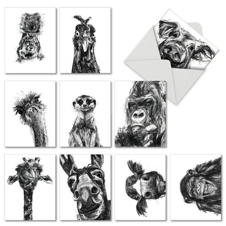 M2956OCB CHARCOAL ANIMALS' 10 Assorted All Occasions Note Cards Featuring Charcoal Black and White Drawings of Animals, with Envelopes by The Best Card