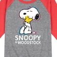 thumbnail image 3 of Peanuts - Snoopy And Woodstock - Toddler & Youth Raglan Graphic T-Shirt, 3 of 7