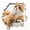Style 1, variant on Threns Cute Animal Pattern Toilet Sticker Waterproof Cat/Dog/Fox/Duck Style Bathroom Wall Sticker Background Decoration for Room Bathroom Toilet Lid Car
